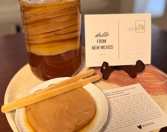 Complete Kombucha Starter Kit | Healthy 5-6" SCOBY & Strong Starter Tea | Includes Pro Guide