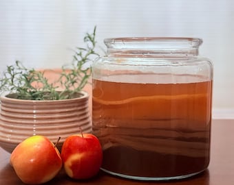 6" Kombucha SCOBY for Gallon Jar| Strong Starter Tea & Brewing Kit