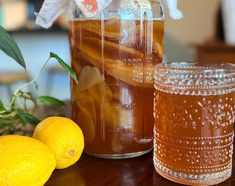 Imperfect Kombucha SCOBY with Live Cultures & Starter Tea | Complete Brewing Kit with Pro Guide