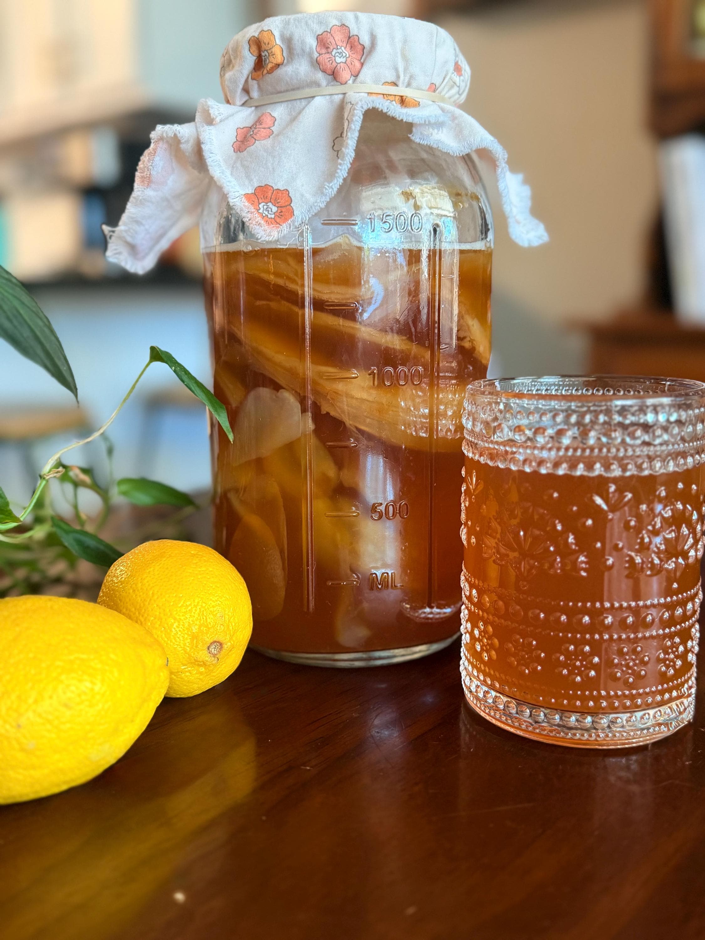 Kombucha Scoby Vegan Leather Canada