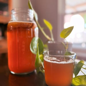 Kombucha Kit and Strong-Fermented Starter Tea | SCOBY | Healthy Culture | DIY Kombucha | Gut Health