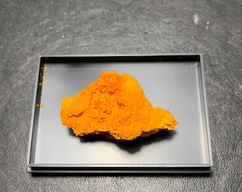 Curite, metatorbernite, Shinkolobwe Mine, Katanga, Congo