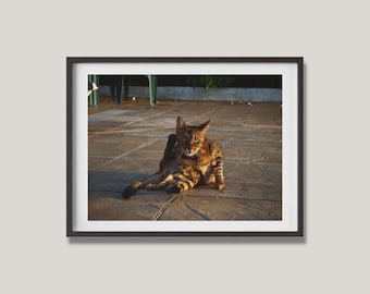 Lámina de gato de Bengala/Arte mural para amantes de los gatos, decoración del hogar, arte mural de animales, regalo único para dueños de mascotas