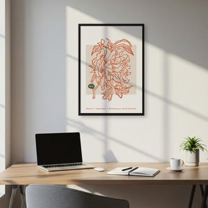 Affiche de dessin au trait fleur de pivoine, impression d'art botanique minimale, art mural orange trait fin pour chambre à coucher ou mur de galerie, toile croquis floral