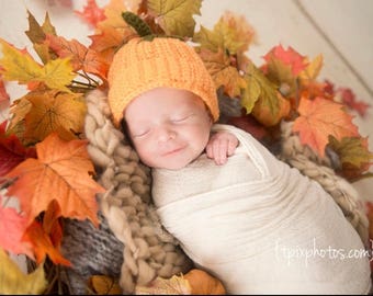 Op de afbeelding: Een pasgeboren baby draagt ​​een gehaakte oranje pompoenmuts, is gewikkeld in een wit deken en omringd door herfstbladeren.