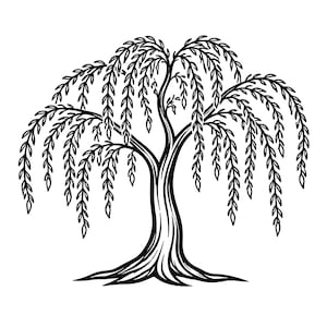 May include: Black and white illustration of a weeping willow tree. The tree features a thick trunk with detailed lines and long, cascading branches filled with small, leaf-like shapes. The design is a simple, elegant representation of nature.