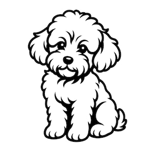 Op de afbeelding: Een zwart-wit lijntekening van een kleine, pluizige puppy die zit. De puppy heeft grote, expressieve ogen, een afgeronde neus en een krullende vachttextuur die wordt weergegeven door dikke, duidelijke lijnen op een witte achtergrond.