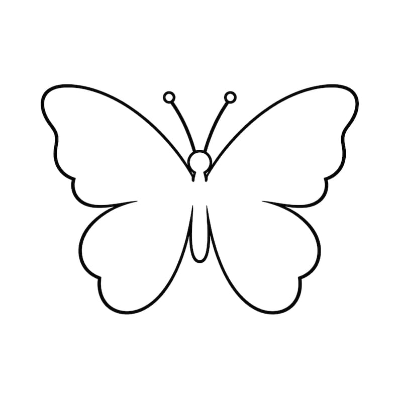 May include: A black and white line drawing of a butterfly. The butterfly has two antennae with small circles at the ends. The wings have a scalloped edge.