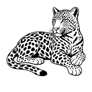 Puede incluir: Una ilustración de arte lineal en blanco y negro de un leopardo en posición de descanso. El gran felino se representa con su característico patrón de pelaje manchado, orejas alertas y una larga cola enroscada alrededor del cuerpo, en tinta.