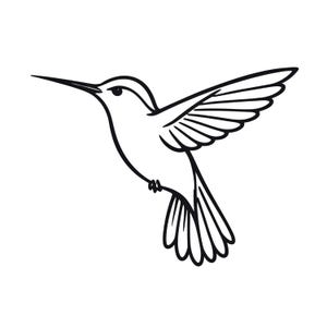 May include: A black and white line drawing of a hummingbird in flight. The bird has outstretched wings, a long beak, and a detailed tail. The image is a simple, elegant illustration.