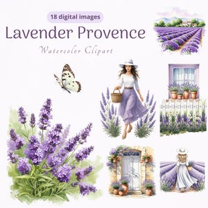 Conjunto de lavanda provenzal, 18 imágenes PNG, imágenes prediseñadas de lavanda en acuarela, imágenes PNG de lavanda