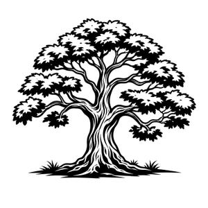 Peut inclure: Une illustration graphique en noir et blanc représentant un arbre mature avec un tronc épais et texturé, ainsi que de larges branches étalées couvertes de grappes de feuilles denses et arrondies. L'arbre est enraciné dans de l'herbe.