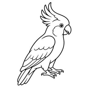 May include: A black and white line drawing of a cockatoo bird. The bird is in profile, with a prominent crest, curved beak, and detailed feather patterns. The cockatoo is standing, with its claws visible.