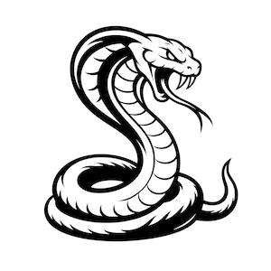 Puede incluir: Una ilustración gráfica en blanco y negro de una cobra en posición enroscada y erguida, con la capucha desplegada, la boca abierta y los colmillos expuestos. La serpiente presenta contornos marcados y escamas segmentadas en un estilo definido.