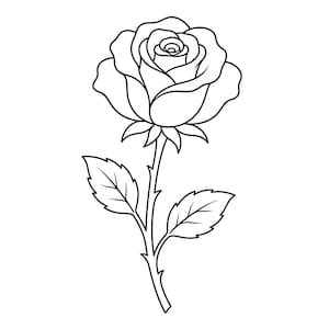 Rose SVG Linie Kunst, Blumen Umriss PNG, Cricut Cut Datei, Botanische Clipart