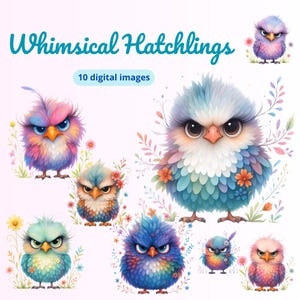 Whimsical Hatchlings, 10 PNG, Cute birds Clipart, Junk Journals, Scrapbooking, Card Making, Digital Download, Fantasy, Nursery