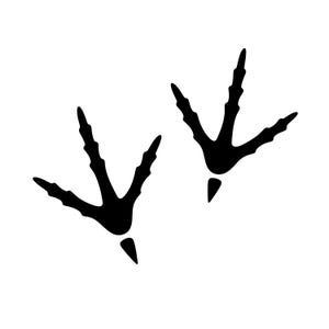 May include: A black graphic illustration of two bird footprints. Each print features three long, slender toes pointing forward and a single, smaller, pointed toe extending backward, creating a distinct avian track pattern on a plain background.