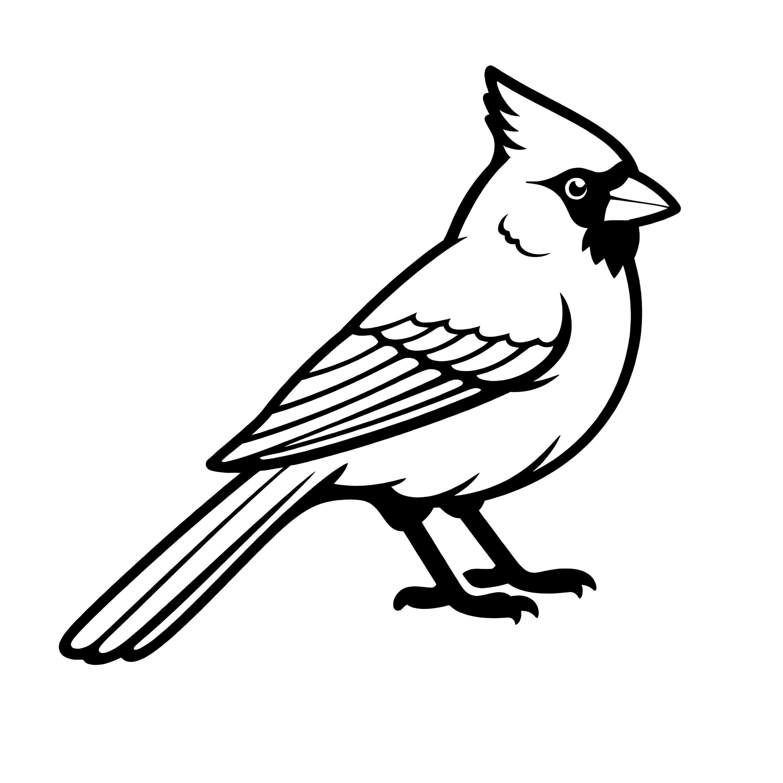 Cardinal Bird SVG Outline Cricut Cut File Bird Silhouette - Etsy