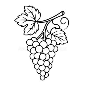Puede incluir: Ilustración en blanco y negro de un racimo de uvas con hojas. Las uvas son redondas y agrupadas, colgando de una vid con tres hojas y un zarcillo rizado.