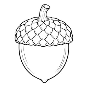 May include: Black and white line art illustration of an acorn. The acorn's cap is detailed with overlapping scales, and it has a curved stem. The body of the acorn is smooth and oval-shaped, with a pointed base.