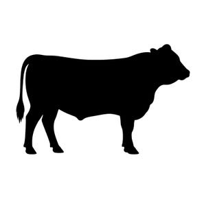 May include: A solid black silhouette of a cow standing in profile, facing toward the right. The graphic features the distinct outline of the animal, including its head, ears, back, legs, and a long tail with a tufted end, all rendered in flat black.