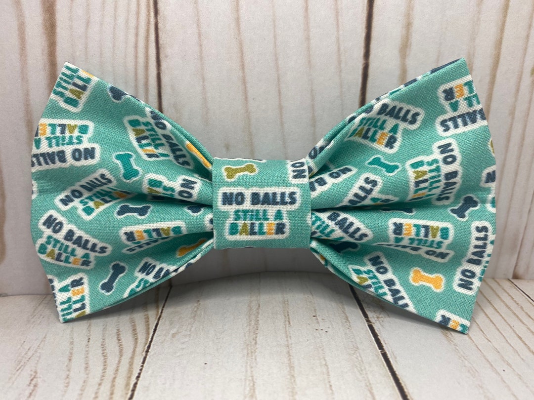 No Balls Still a Baller Bowtie, Funny Dog Bow Tie, Dog Collar, Novelty