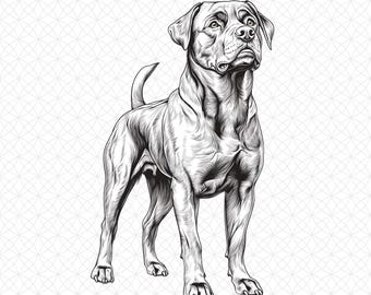 Hund SVG – Söt hundansikte SVG-fil för Cricut och Silhouette, Valp Digital Design för T-shirts, Muggar och Väggkonst