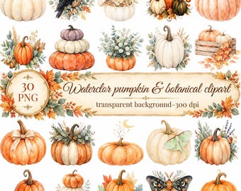 May include: A collection of watercolor pumpkin and botanical clipart illustrations featuring various orange, white, and green pumpkins, autumn leaves, a black crow, a moth, and a butterfly, with text reading 30 PNG watercolor pumpkin & botanical clipart.