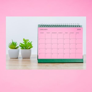 MONTHLY PLANNER 2026 | Pink Color | PRINTABLE & Editable | Canva Template