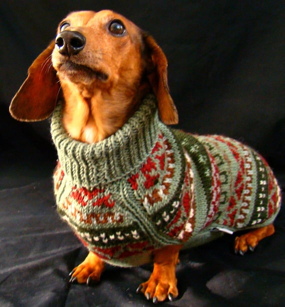 Fair Isle Handknit Dachshund Dog Sweater Mock Turtleneck Etsy