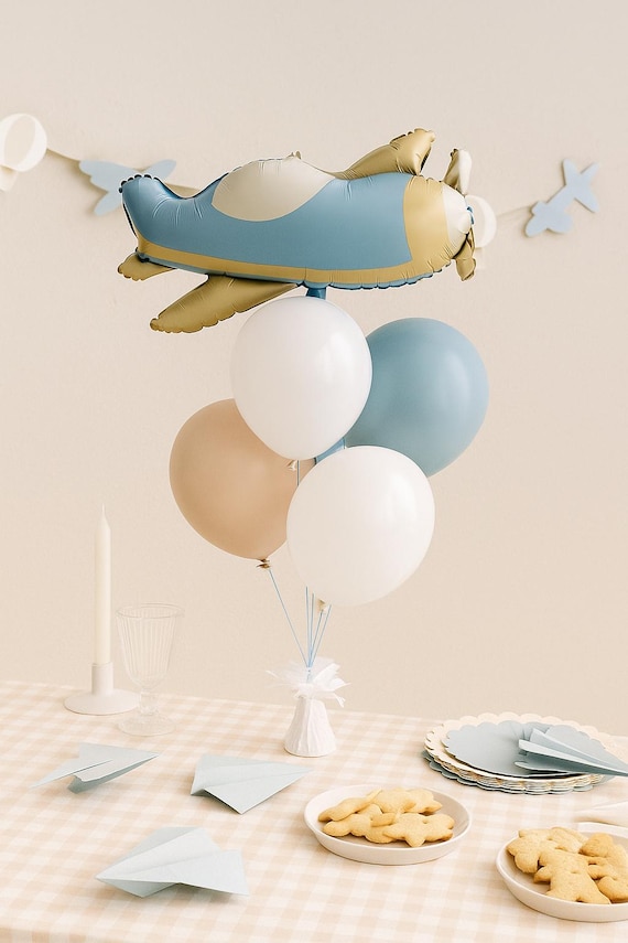 Time Flies First Birthday  Party Balloon Garland Arch Airplane Cloud Theme Travel Decor Boy