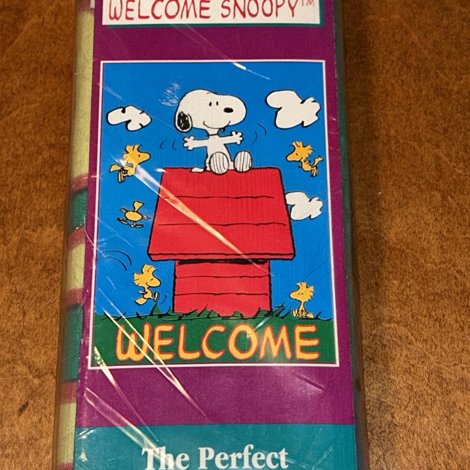 Vintage Snoopy Banner - Etsy