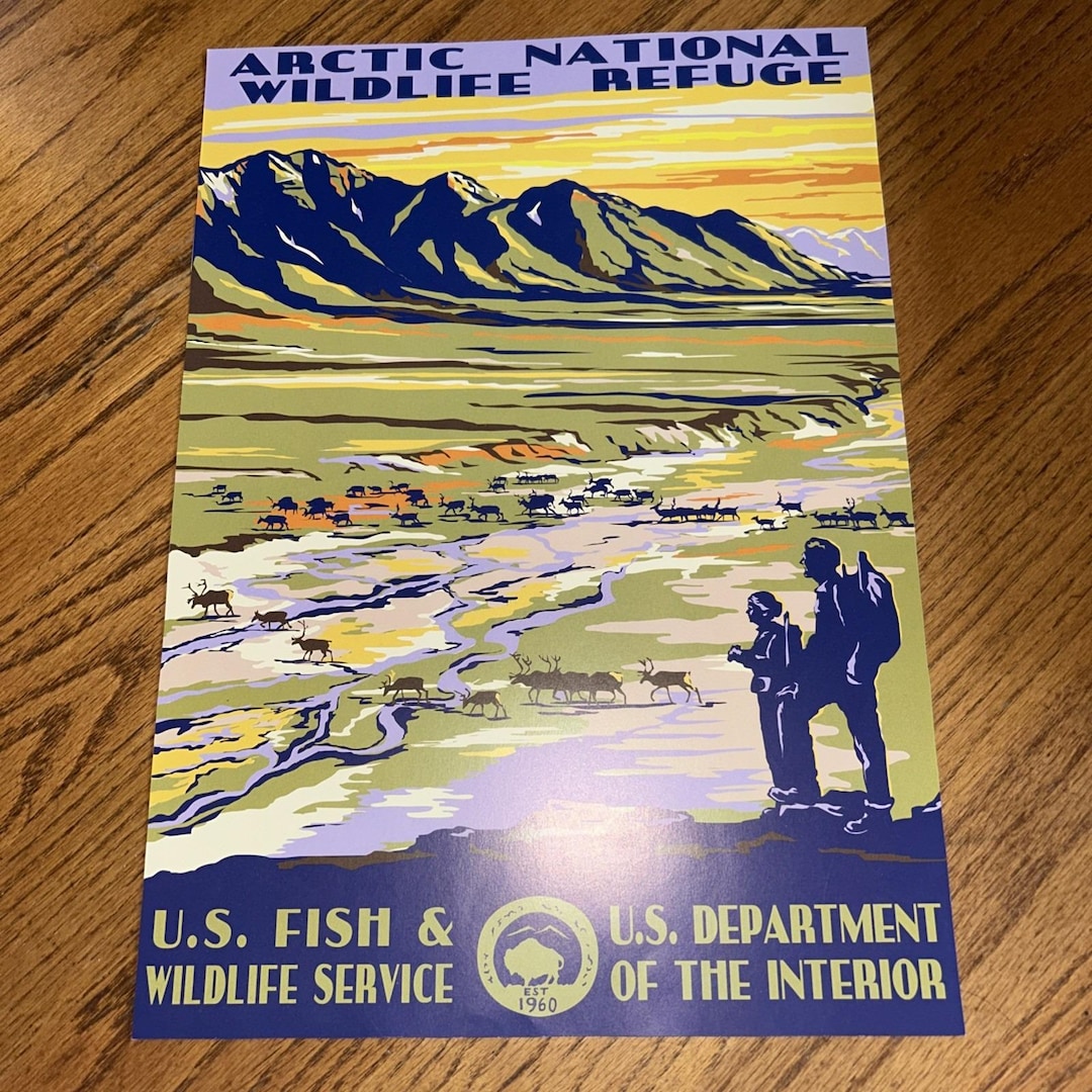 Vintage National Park Poster Naturalist Service 11.5" X 15.5" Arctic ...