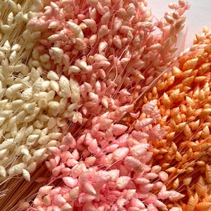 Dried Briza, Mix Color, Dried Flowers, Bunch, Wedding Decoration, Rustic Bouquets, Wreaths, Dried Flower Bouquet, Decoration