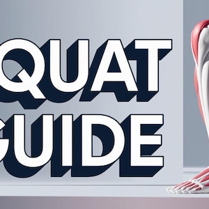 Può includere: Un'illustrazione grafica di una persona che esegue uno squat, con i muscoli della gamba evidenziati in rosso. Il testo "SQUAT GUIDE" è in lettere bianche con un contorno nero.
