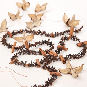 May include: Aromatic garland composed of brown cloves, cinnamon sticks, and dried seed pods. The garland is arranged in a curved pattern, with several seed pods scattered around. The background is a plain white surface.