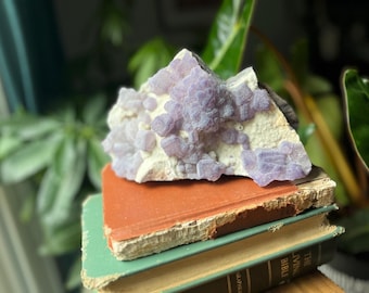 Fluorita lavanda sobre matriz — Provincia de Fujian, China