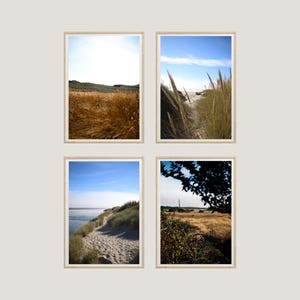 以下が含まれることがあります： ビーチの風景を写した、額縁に入った4枚の写真。左上の写真は背の高い草の生えた野原。右上の写真は、背の高い草の生えた道を通り、ビーチへと続く様子。左下の写真は、砂浜に水へと続く道がある様子。右下の写真は、背の高い草の生えた野原に木が映っている様子。