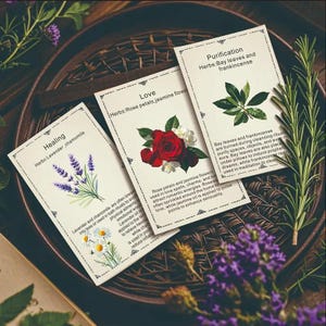 Cartas de Ervas de Bruxa Grimório de 44 Bolsos Cartas de ervas com sabedoria e propriedades de cura para referências sobre bruxaria, magia e medicina.