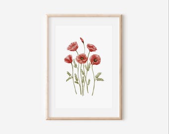 Poppy Flower Watercolor Art Print, Botanical Illustration