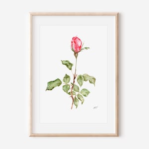 May include: Watercolor painting of a single pink rose bud on a stem with green leaves. The artwork is framed in a light wood frame. The rose is the focal point, with detailed brushstrokes. The overall theme is floral and botanical.