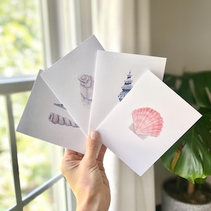 May include: A set of four white greeting cards, each featuring a distinct watercolor illustration of a seashell. The designs include a pink scallop shell, a tall spiral shell, and two elongated greyish-purple shells, all rendered in soft tones.