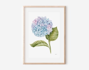 Hydrangea Watercolor Art Print: Blue Floral Decor