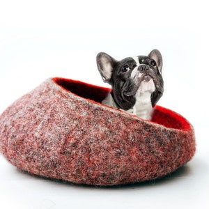 May include: A black and white French bulldog dog looking up from inside a red and gray felt dog bed.
