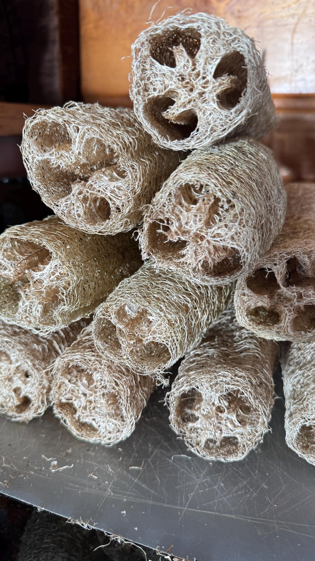 Luffa Design Natural Grown Luffa Sponge for Cleaning and Crafts - Etsy