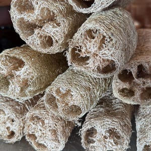 May include: Close-up of several natural loofah sponges. The cylindrical sponges are a light tan colour and have a fibrous, porous texture. They are stacked together, showcasing their organic shape and design.
