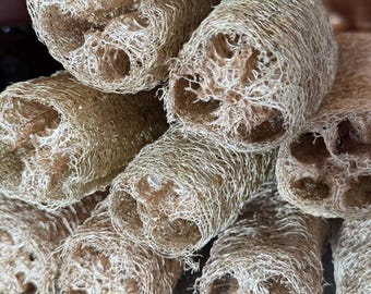Puede incluir: Primer plano de varias esponjas de lufa naturales. Las esponjas cilíndricas son de color marrón claro y tienen una textura fibrosa y porosa. Están apiladas, mostrando su forma y diseño orgánicos.