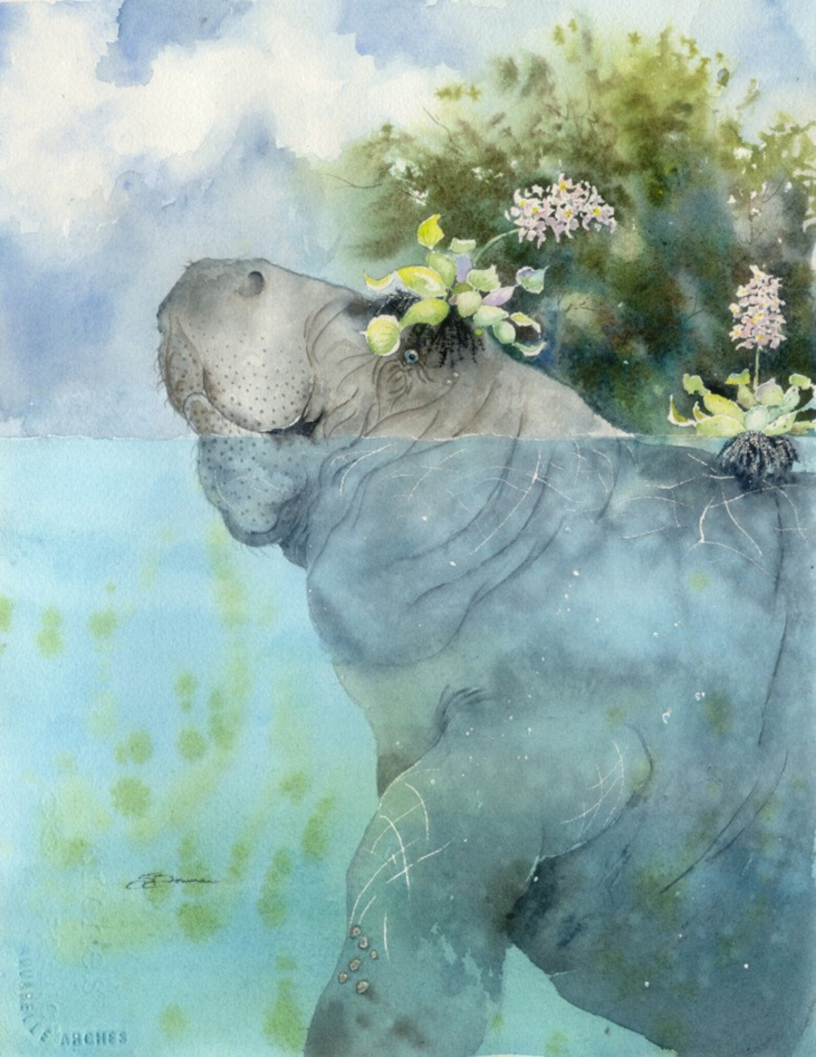 Rocket Manatee Art