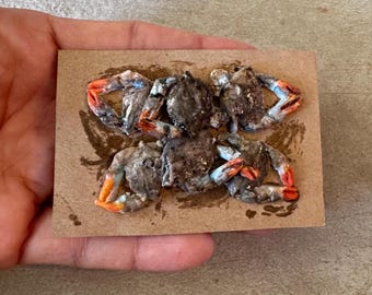 Miniature Dollhouse Fresh Raw Blue Crabs on kraft paper in 1:12 scale one inch maryland blue crabs seafood