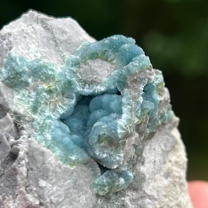May include: Close-up of a rock formation with a cluster of light blue crystal formations. The crystals have a radiating, fan-like structure, and are set against a backdrop of gray rock. The overall appearance is natural and geological.